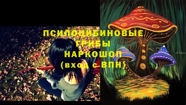 героин Абаза
