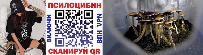 Псилоцибиновые грибы прущие грибы  ОМГ ОМГ онион  Трубчевск 